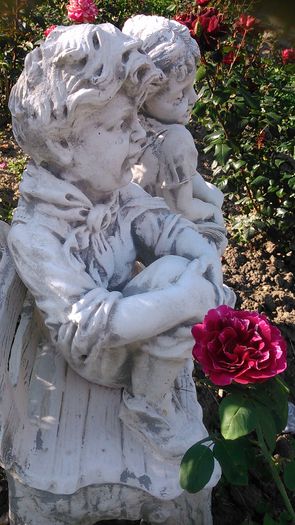 DSC_1204 - TRANDAFIRI 2015 II