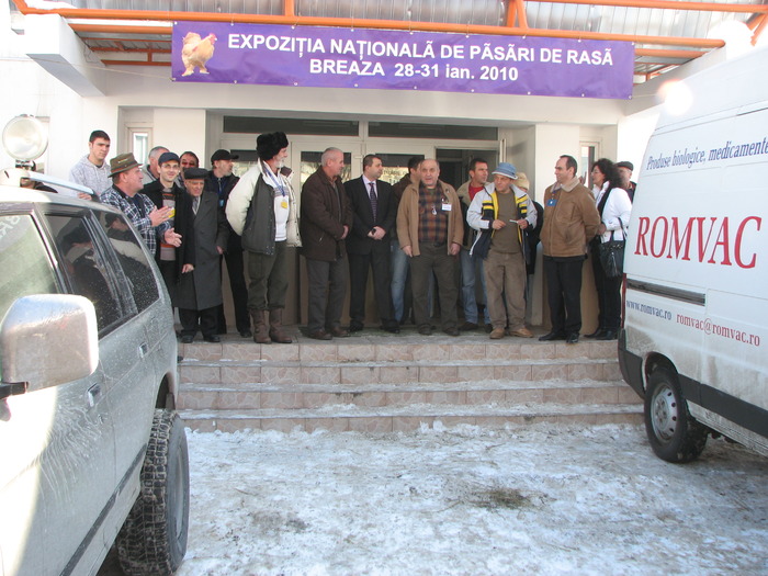 Expozitia Nationala Breaza 2010 008 - Expozitia Nationala a I-a de pasari si iepuri Breaza ianuarie 2010