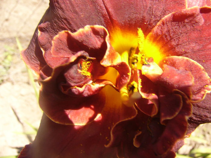 P1240903
