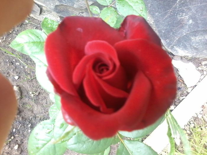 20150703_140044