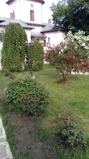 IMG_20150523_182612 - Copie - Copie - Copie