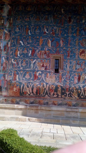 IMG_20150524_101913 - Copie