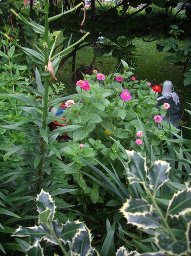 IMGP8828