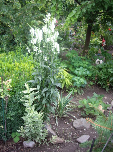 IMGP8854