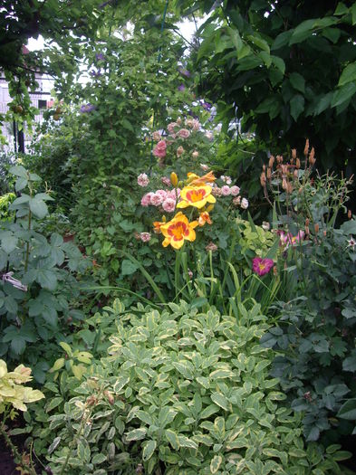 IMGP8855