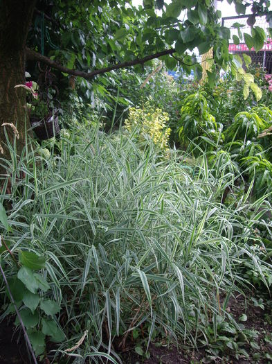 IMGP8859