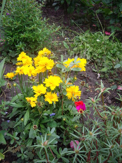 IMGP8880