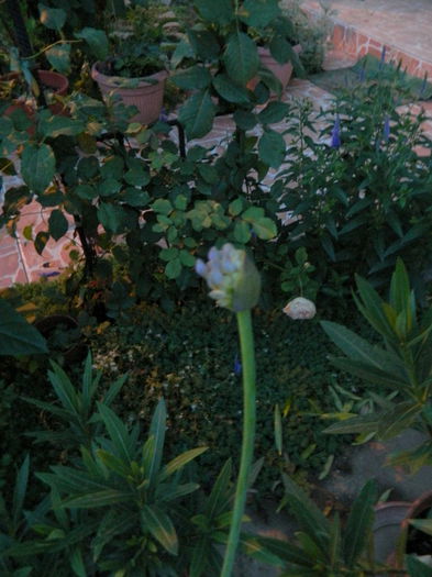 atentie ca pocnesc - Iulie cu de toate