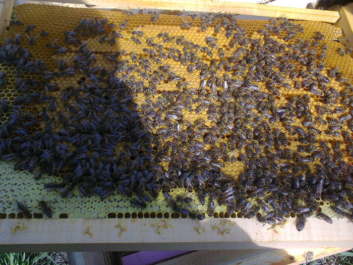 Fotografie0270 - stupi orizontali