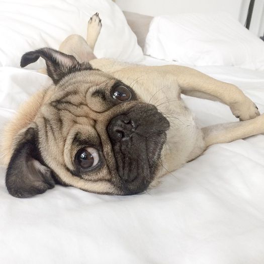 *se bas;este in directia lui Derek=)))))))))*