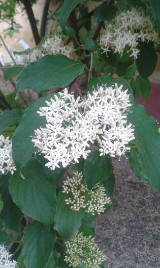 20150609_202630