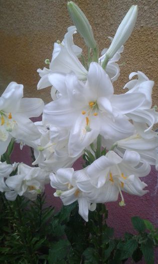 20150609_202655