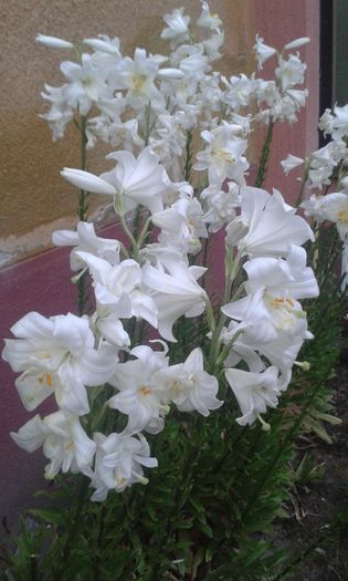 20150609_202716
