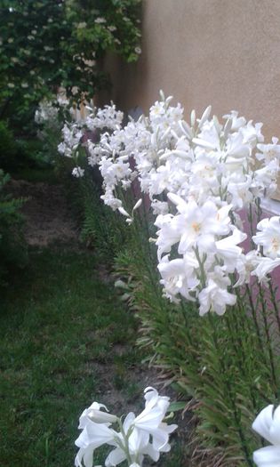 20150609_202729