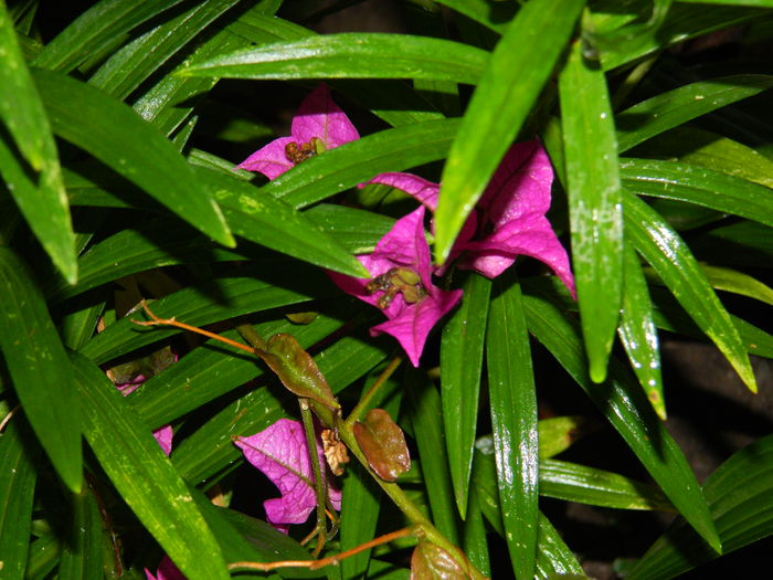 DSCN1802