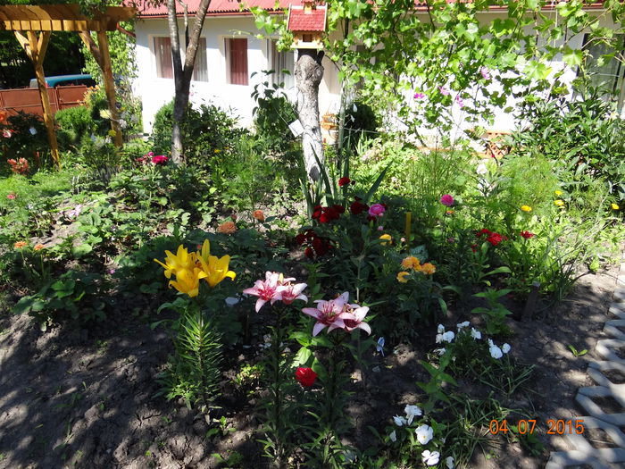  - Vara in gradina I