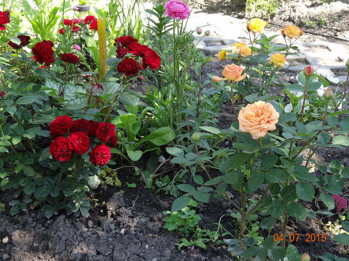  - Vara in gradina I