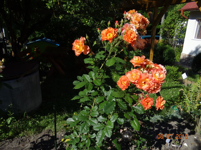 westerland