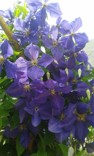20150610_162448