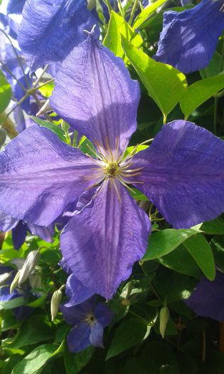 20150610_162452