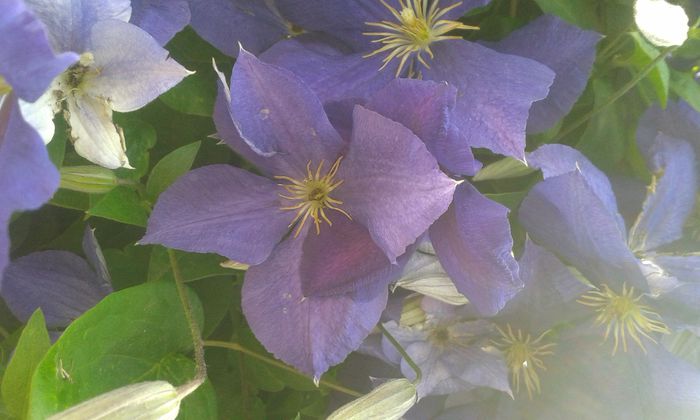 20150610_162513