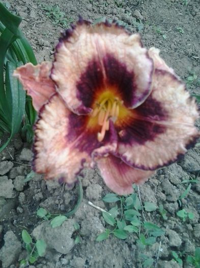 20150630_185514