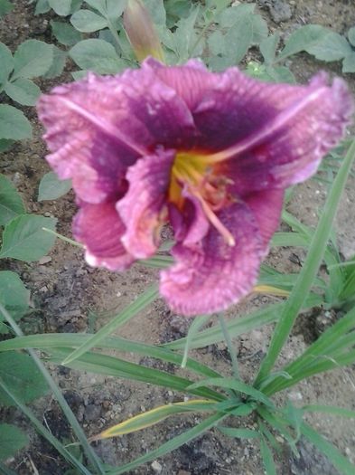 20150630_190832
