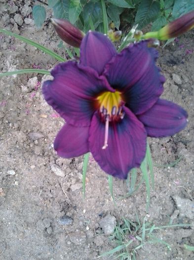 20150701_072233