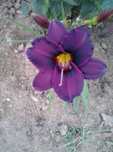 20150701_072237