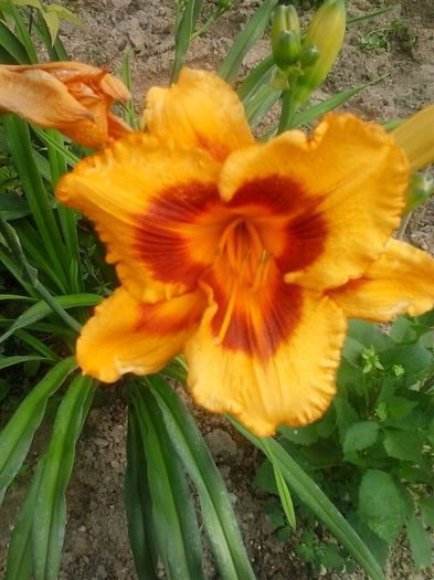 20150702_162701