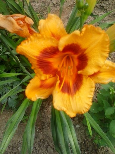 20150702_162705