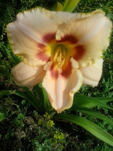 20150702_162749