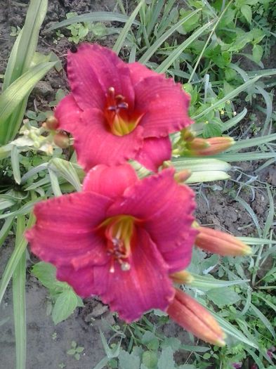 20150703_071831
