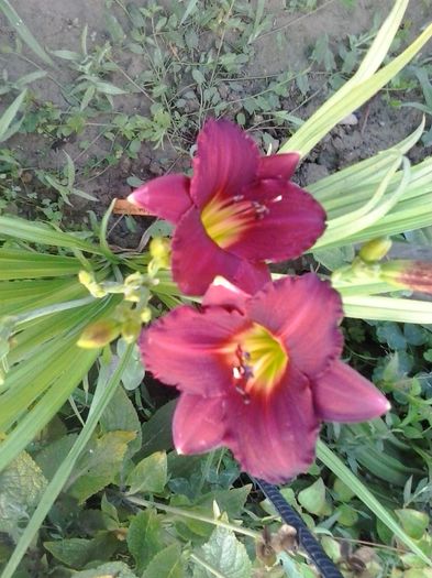 20150703_071847