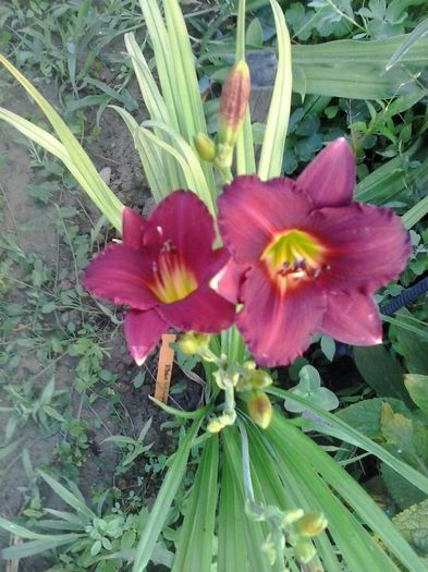 20150703_071850