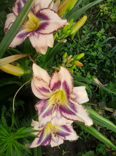 20150703_071917