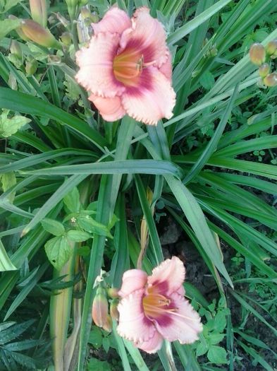 20150703_072002