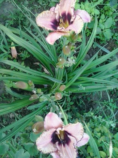 20150703_072021