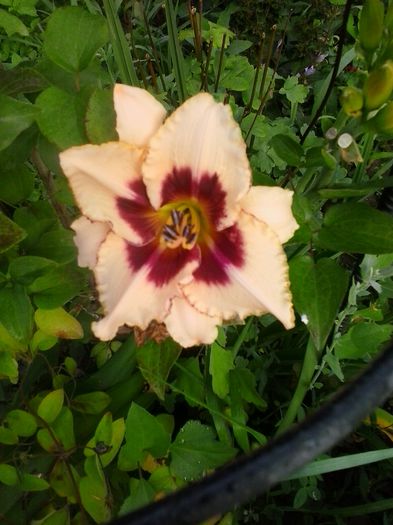 20150703_072146