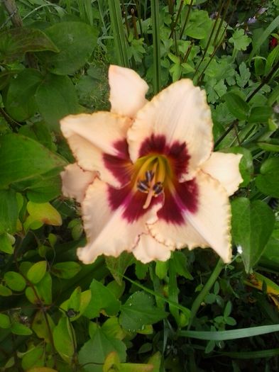 20150703_072207
