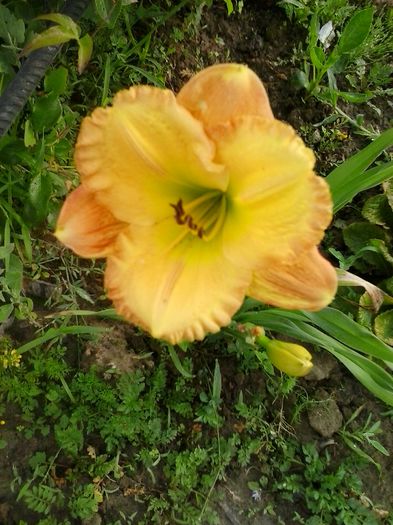 20150703_072858