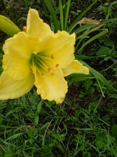 20150703_072919