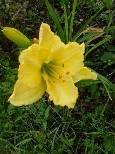 20150703_072921