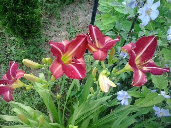 20150703_073055