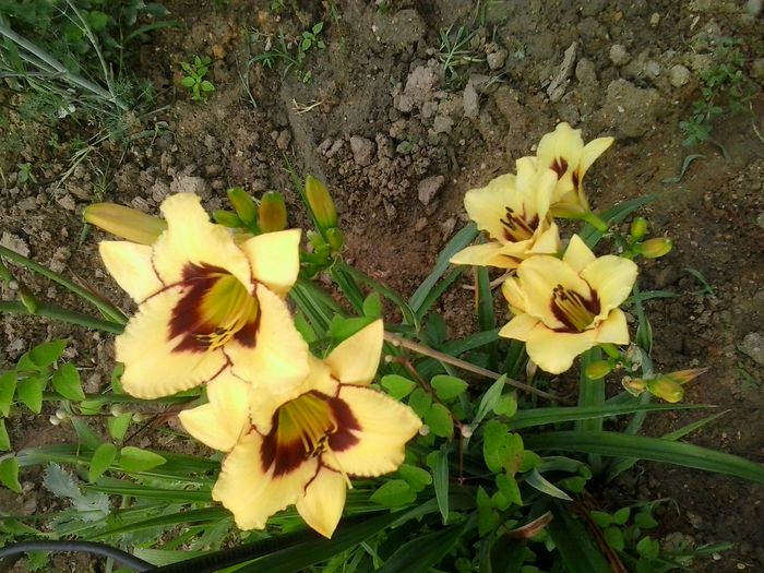20150703_073447