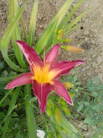 20150704_145643