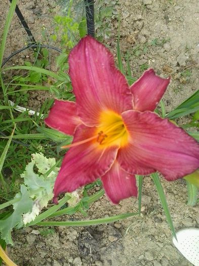20150704_145651