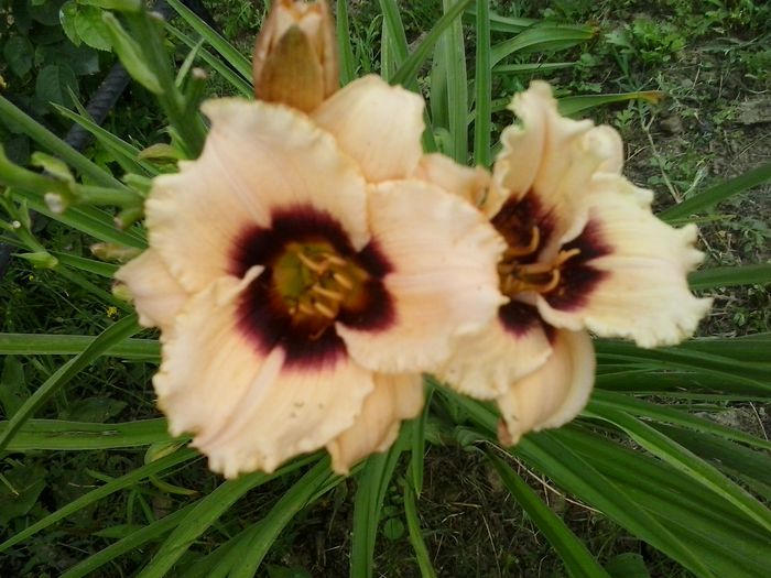20150704_145719
