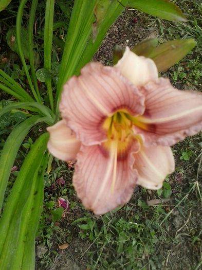 20150704_145728