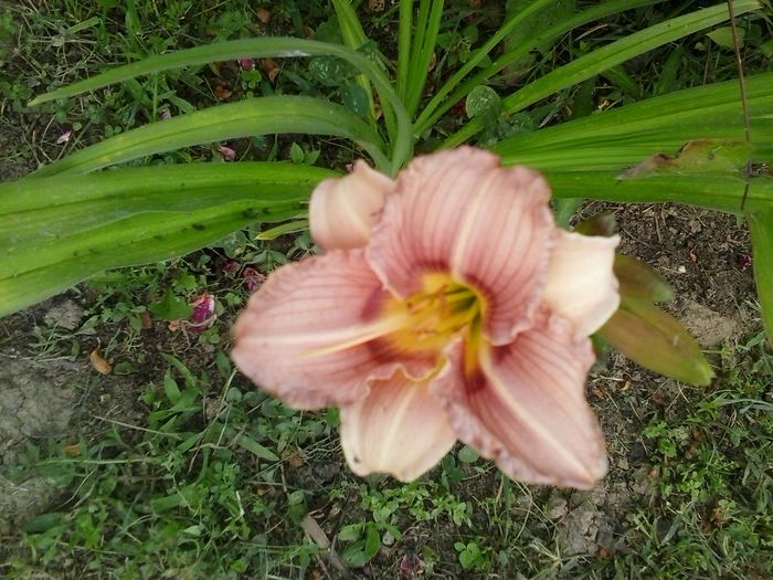 20150704_145730